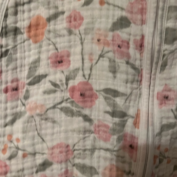 Aden and Anais Muslin Dino Sleep Sack - Picture 3 of 4